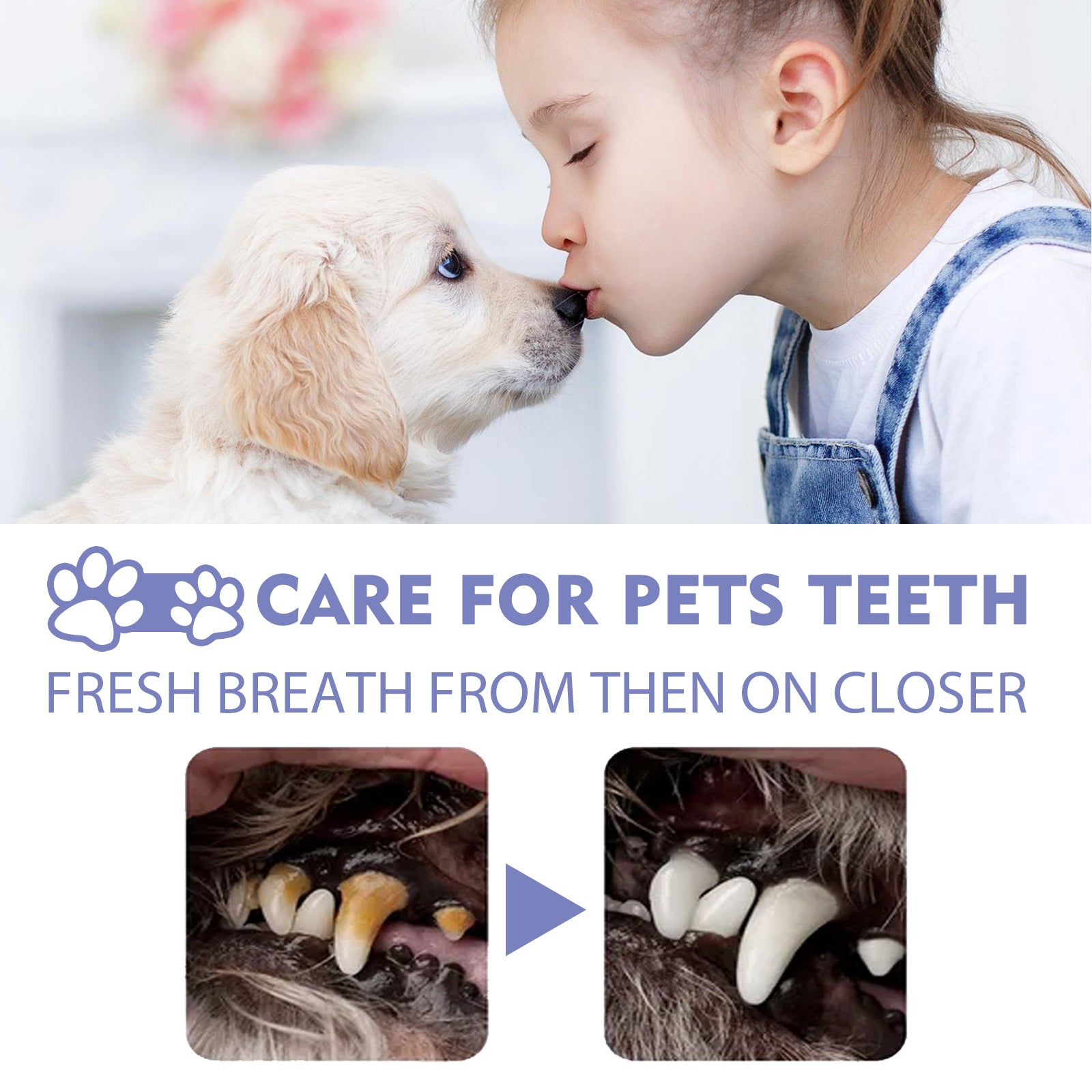 Yegbong Dog And Cat Tooth Cleaning Spray, Pet Mouth Cleaning Breath Fresh Deodorizing Cleaning Spray