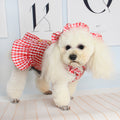 New Spring And Summer Pet Clothes Dog Even Clothes Thin Section Hooded Plaid Ins Pastoral Style Cat Two-Legged Clothes