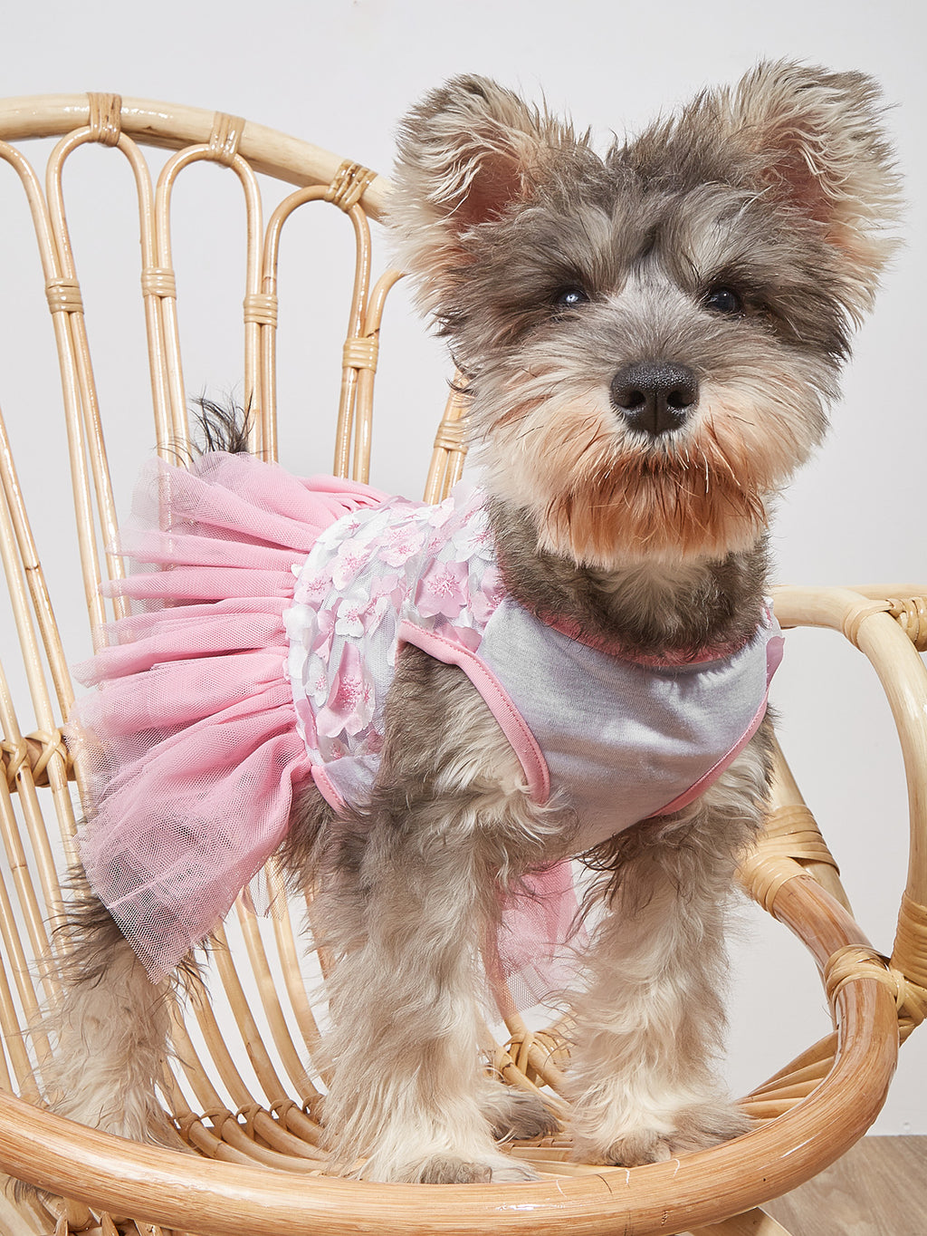 Pet Spring And Summer Flower Skirt Dog Clothes Peach Skirt Spring And Summer Kitten And Puppy Clothes Puffy Skirt