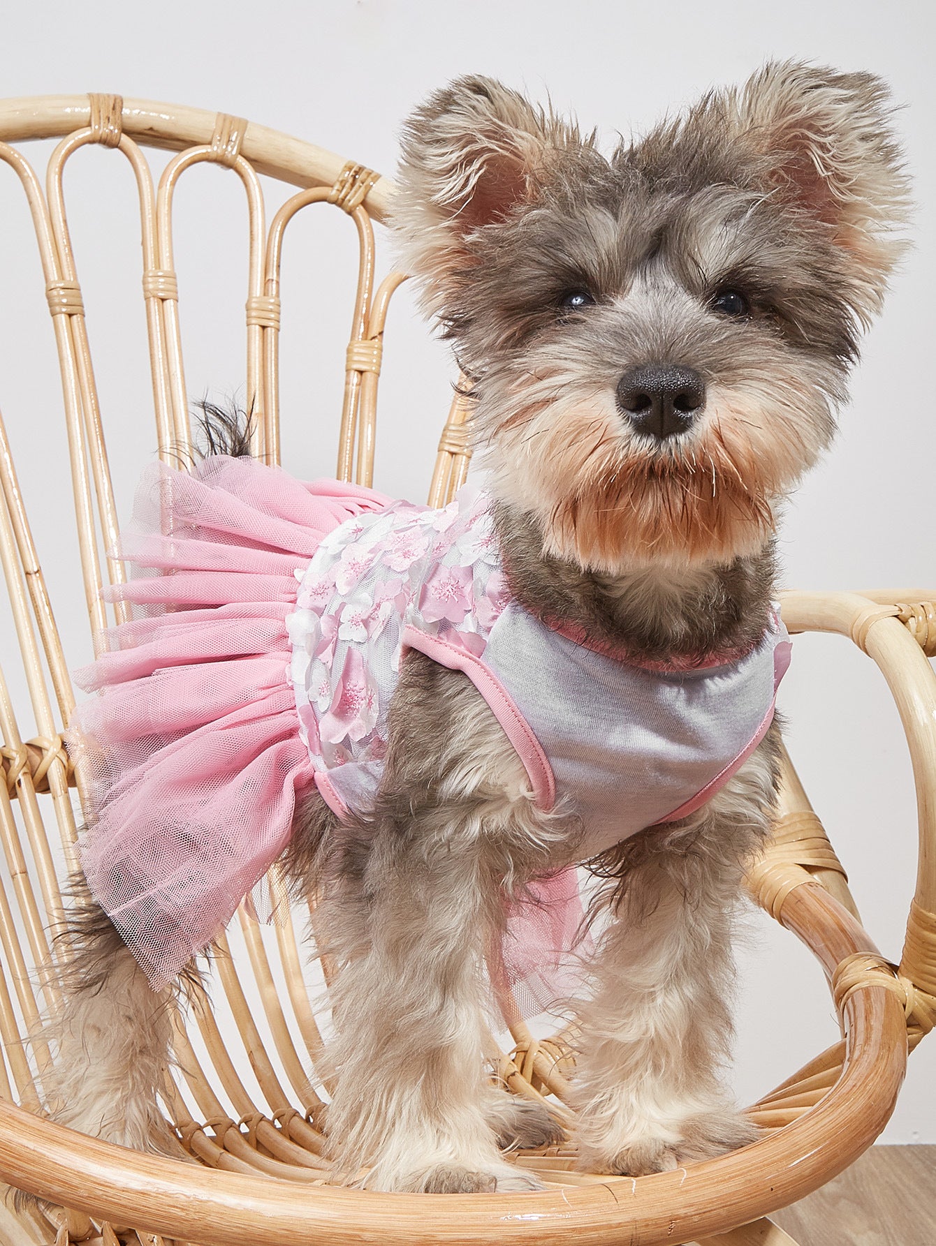 Pet Spring And Summer Flower Skirt Dog Clothes Peach Skirt Spring And Summer Kitten And Puppy Clothes Puffy Skirt