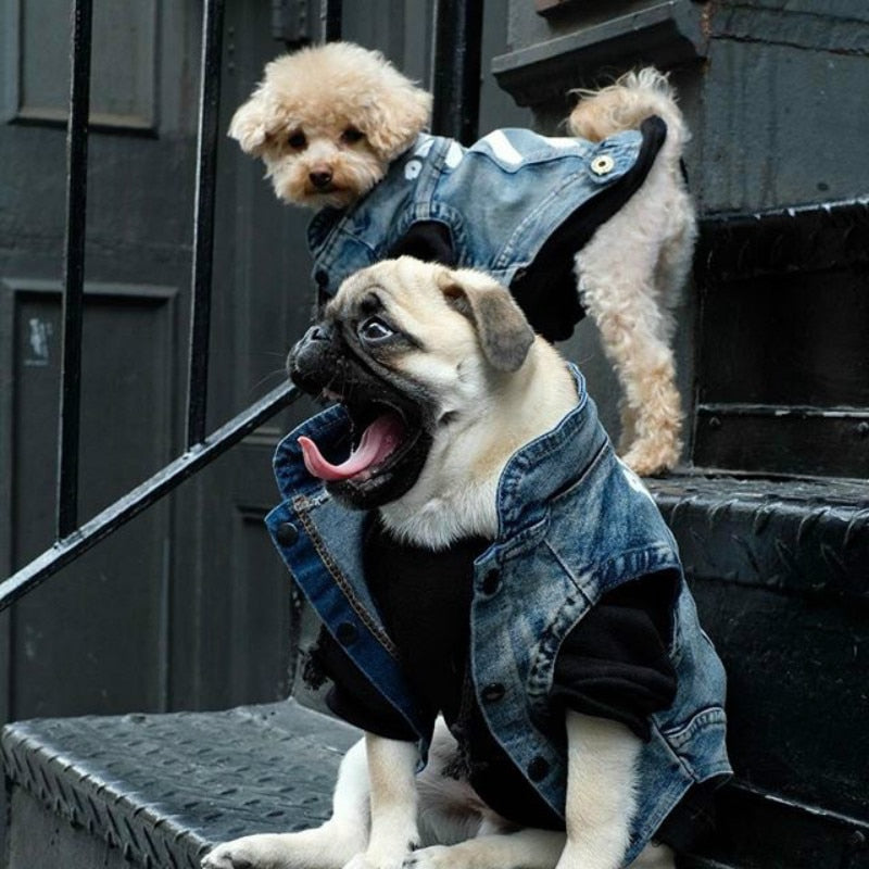 Pet Trend Clothes Cat Dog Clothes Teddy Schnauzer Puppy Thin Section Handsome Cowboy Vest Dogs Clothes Summer Supplies
