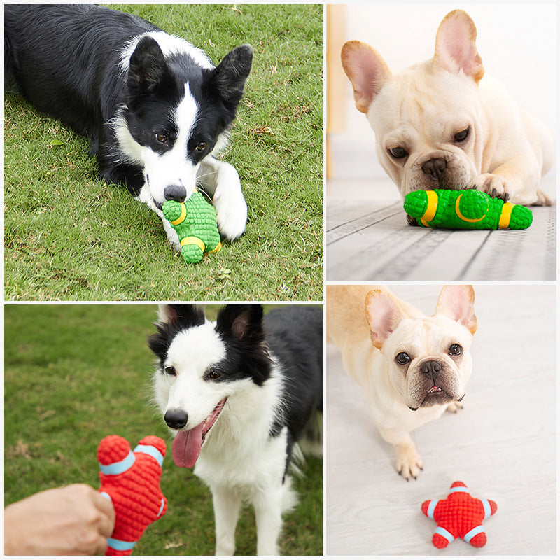 Pet Supplies Latex Starfish Lifebuoy Sound Series Puppy Teddy Medium and Large Dog Toys