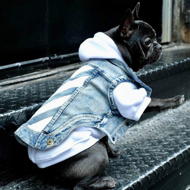 Pet Trend Clothes Cat Dog Clothes Teddy Schnauzer Puppy Thin Section Handsome Cowboy Vest Dogs Clothes Summer Supplies
