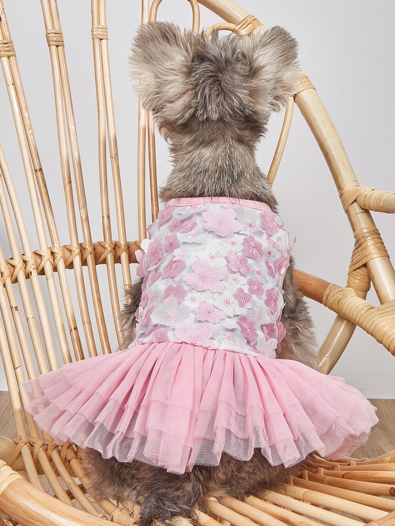 Pet Spring And Summer Flower Skirt Dog Clothes Peach Skirt Spring And Summer Kitten And Puppy Clothes Puffy Skirt