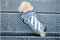 Pet Trend Clothes Cat Dog Clothes Teddy Schnauzer Puppy Thin Section Handsome Cowboy Vest Dogs Clothes Summer Supplies