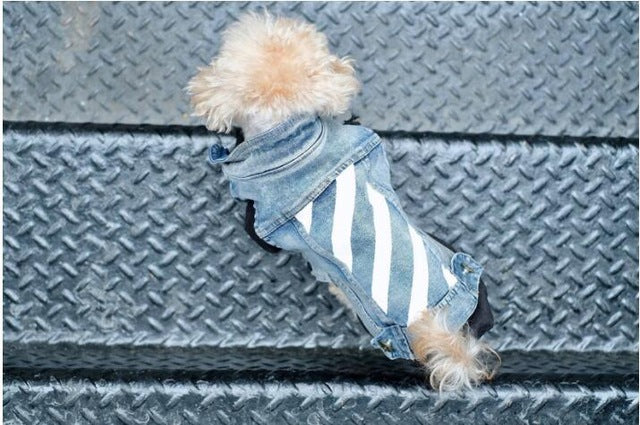 Pet Trend Clothes Cat Dog Clothes Teddy Schnauzer Puppy Thin Section Handsome Cowboy Vest Dogs Clothes Summer Supplies
