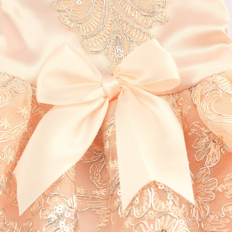 Armi store Sequins Lace Embroidered Dog Dress Princess Wedding Dresses For Dogs 6073009 Pet Tutu Skirt Supplies XS S M L XL