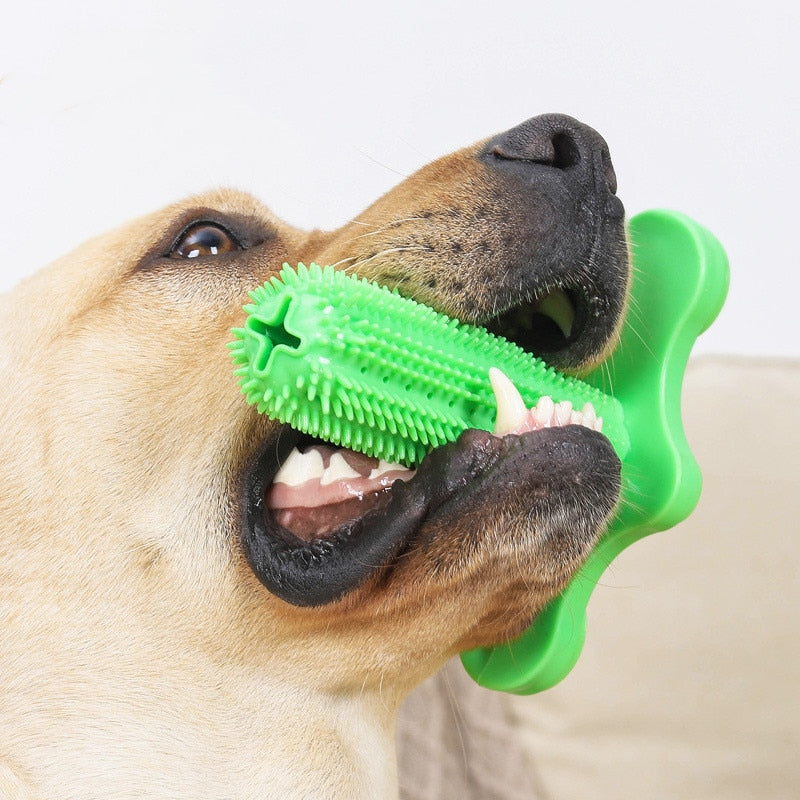Health Safety Kong Dog Toys for Small Dogs Yorkshire Terrier Tooth Cleaning Toothbrush for Dog Rubber Puppy Suction Cup Chew Toy